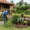 10 Cara Menjaga Kebun Rumah agar Tidak Menjadi Sarang Ular, Mudah dan Aman