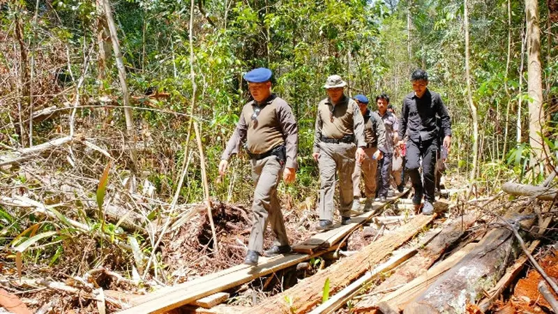 Polda Riau saat berada di lokasi pembalakan liar atau ilegal logging di kawasan hutan.