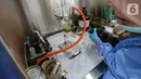 Peneliti melakukan uji lab pada daun ketepeng dan benalu di Pusat Penelitian Kimia LIPI Puspitek, Serpong, Tangerang Selatan, Jumat (8/5/2020). Tahap penelitian anti viral untuk pasien Covid-19 pada daun tersebut secara komputasi aktif menghambat virus Covid-19. (Liputan6.com/Fery Pradolo)