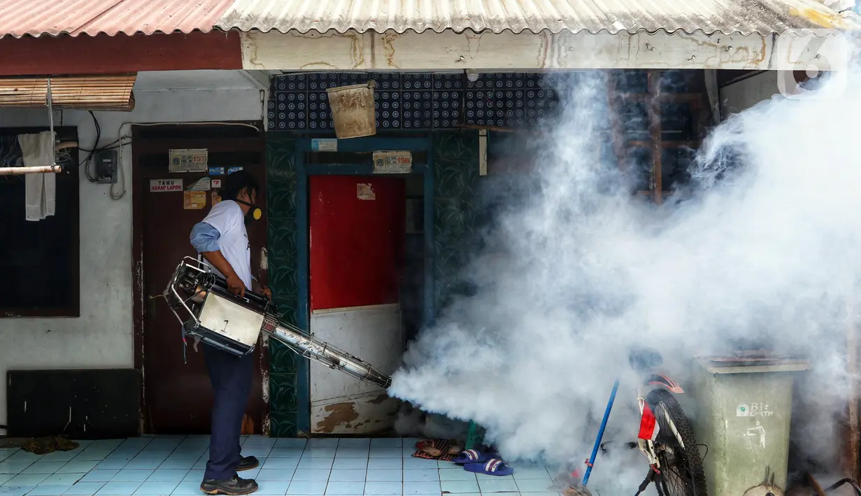 Petugas melakukan pengasapan atau fogging untuk membasmi nyamuk demam berdarah dengue (DBD) di kawasan Kebayoran Lama, Jakarta Selatan, Kamis (14/11/2019). Fogging dilakukan untuk mengantisipasi perkembangbiakan nyamuk DBD. (Liputan6.com/JohanTallo)