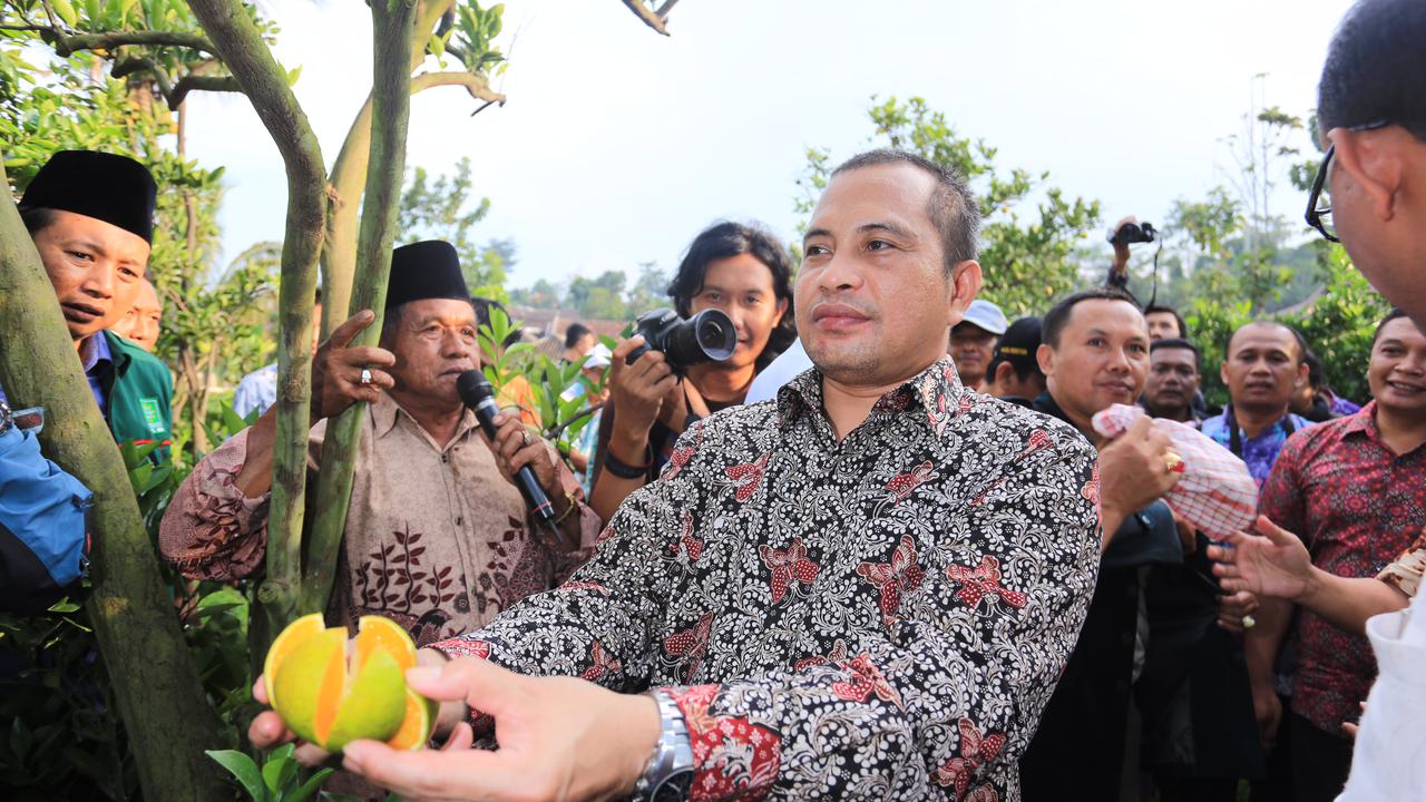 Menteri Marwan: Jeruk Selorejo Nggak Kalah Saing, Layak Diekspor 