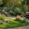 7 Inspirasi Xeriscape Bergaya Tropis yang Bikin Halaman Tetap Hijau Meski Minim Air