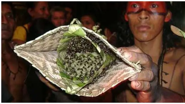 Foto: copyright viralnova.com