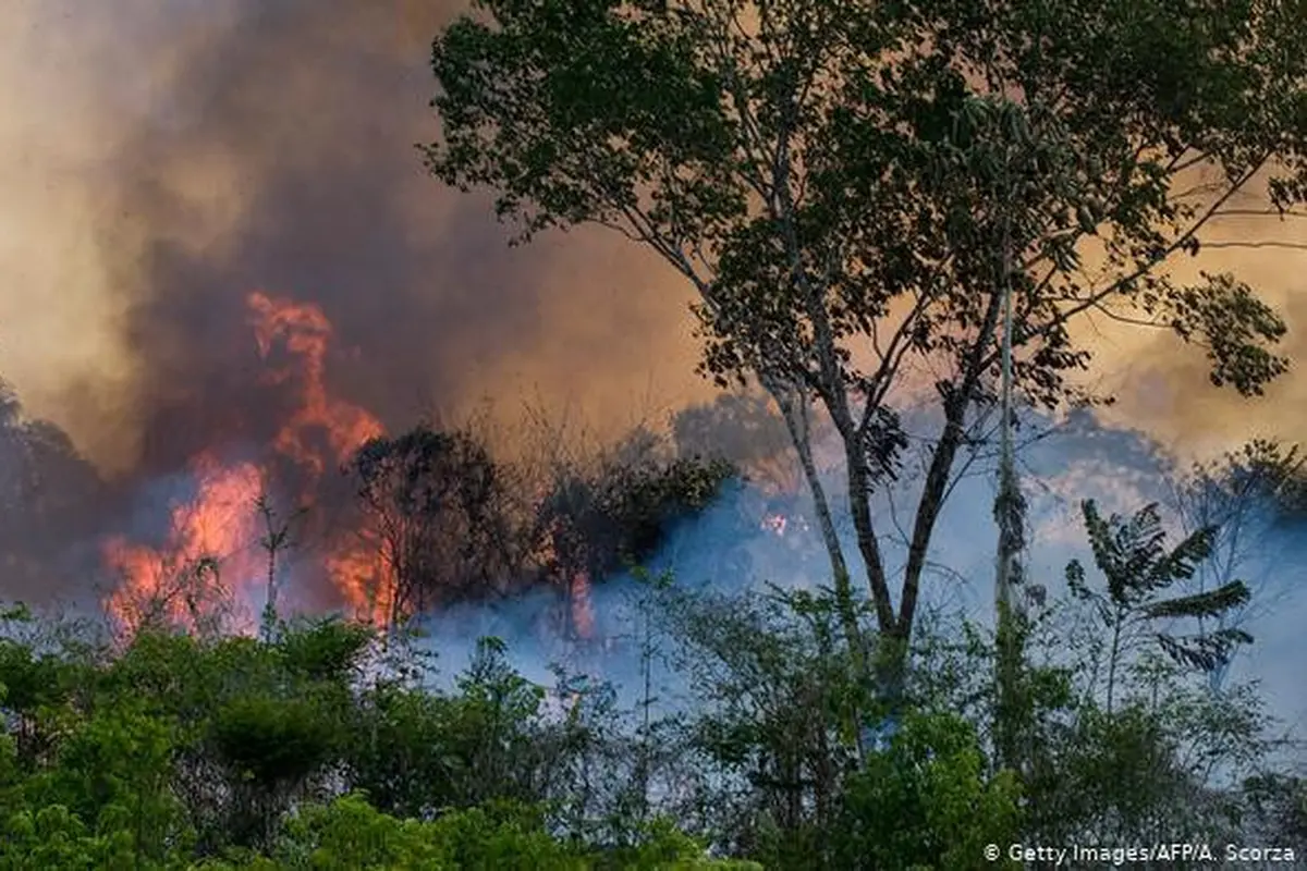 Kebakaran dahsyat di hutan hujan Amazon Brasil (AFP/A. Scorza)