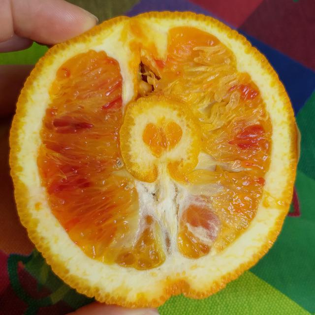 8 Potret Buah Berbentuk Unik Banget, Bikin Takjub