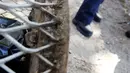 Kondisi badan dan kaki tikus yang terjebak di tong sampah di Brooklyn, New York, Amerika Serikat, (18/10). Tim medis dari Pemadam Kebakaran New York (FDNY) dikerahkan untuk menyelamatkannya tikus yang terjebak di tong sampah. (REUTERS/Lucas Jackson)