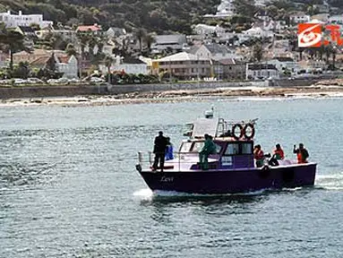 Nelayan Kalk Bay, Fishoek, Cape Town, Afsel.