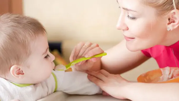 copyright by shutterstock.com