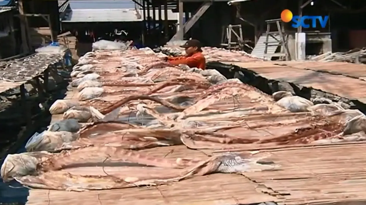 Garam Langka, Produksi Pengeringan Ikan Turun 70 Persen