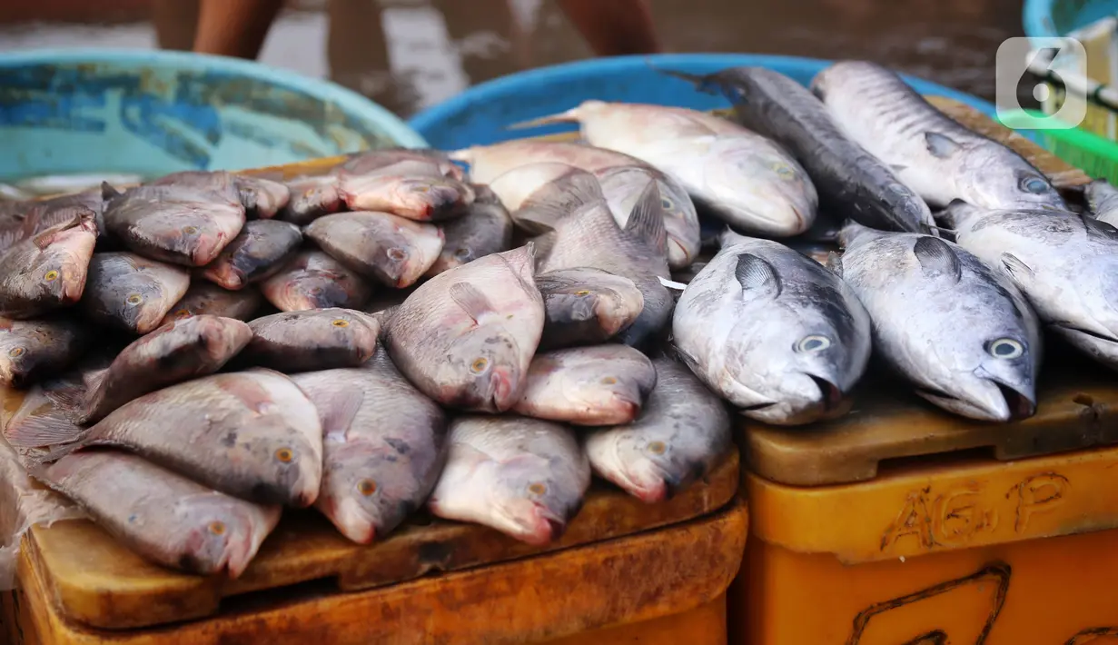 Suasana pasar ikan di Kamal Muara, Jakarta, Jumat (15/4/2022). Menteri Kelautan dan Perikanan Sakti Wahyu Trenggono memastikan pasokan ikan untuk kebutuhan selama Ramadhan 1443 Hijriah dan Hari Raya Idul Fitri aman. (Liputan6.com/Angga Yuniar)
