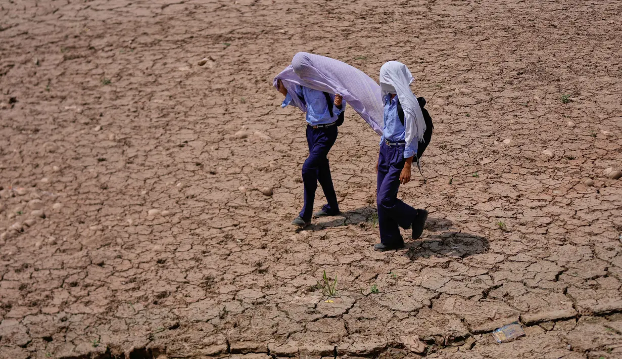 Anak-anak sekolah menggunakan handuk katun di atas kepala mereka untuk melindungi diri dari terik matahari saat berjalan melintasi ladang kering di pinggiran Jammu, India, Rabu 20 Mei 2026. (AP Photo/Channi Anand)
