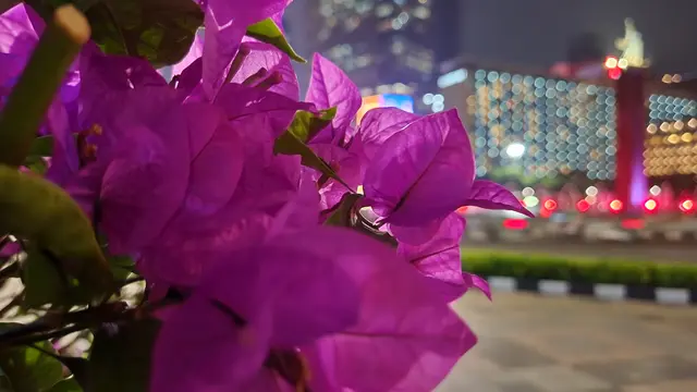 Hasil foto dengan kamera F1.8 tanpa Night Mode di Samsung Galaxy Z Fold4 5G (Liputan6.com/Giovani Dio Prasasti)