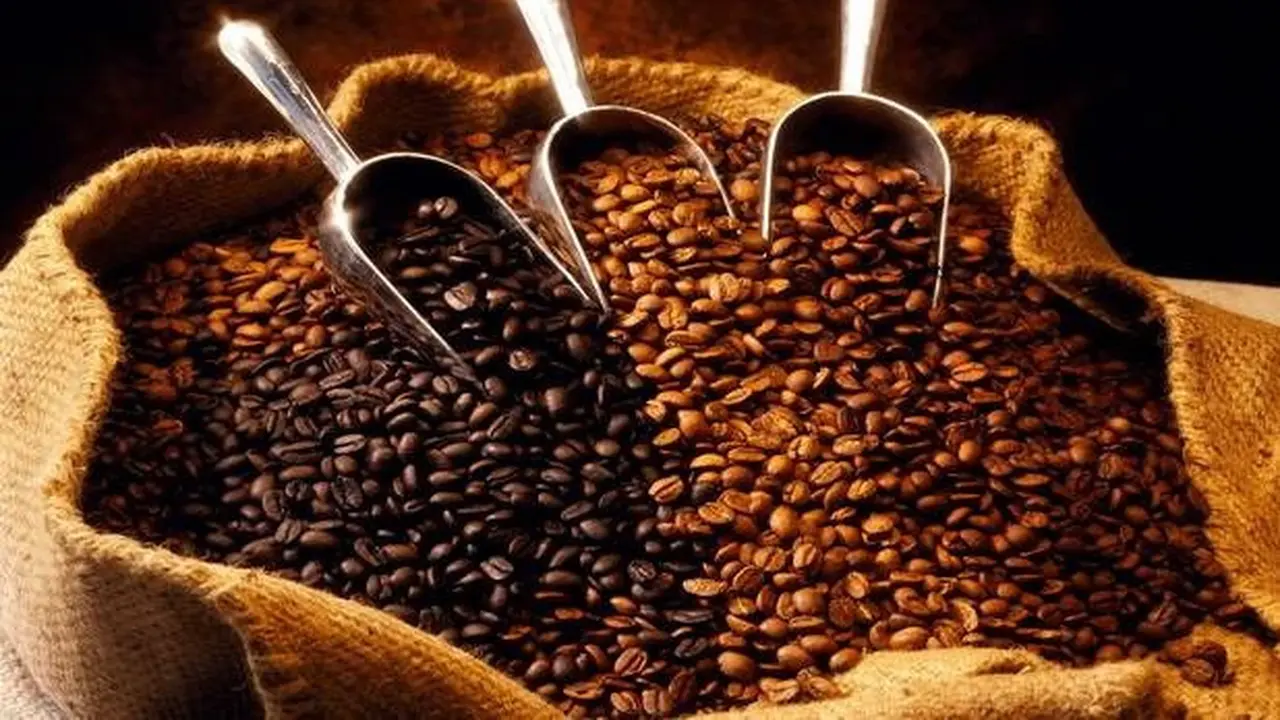 Kopi Kerinci