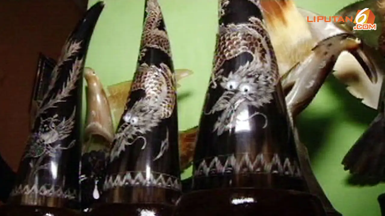 ngubek-tanduk-131214a.jpg
