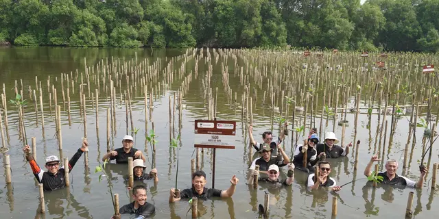 14.000 Mangrove Jadi Benteng Pesisir Kubu Raya