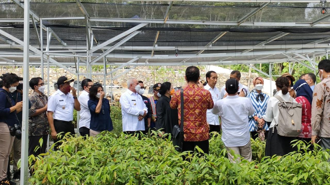 Presiden Joko Widodo (Jokowi)