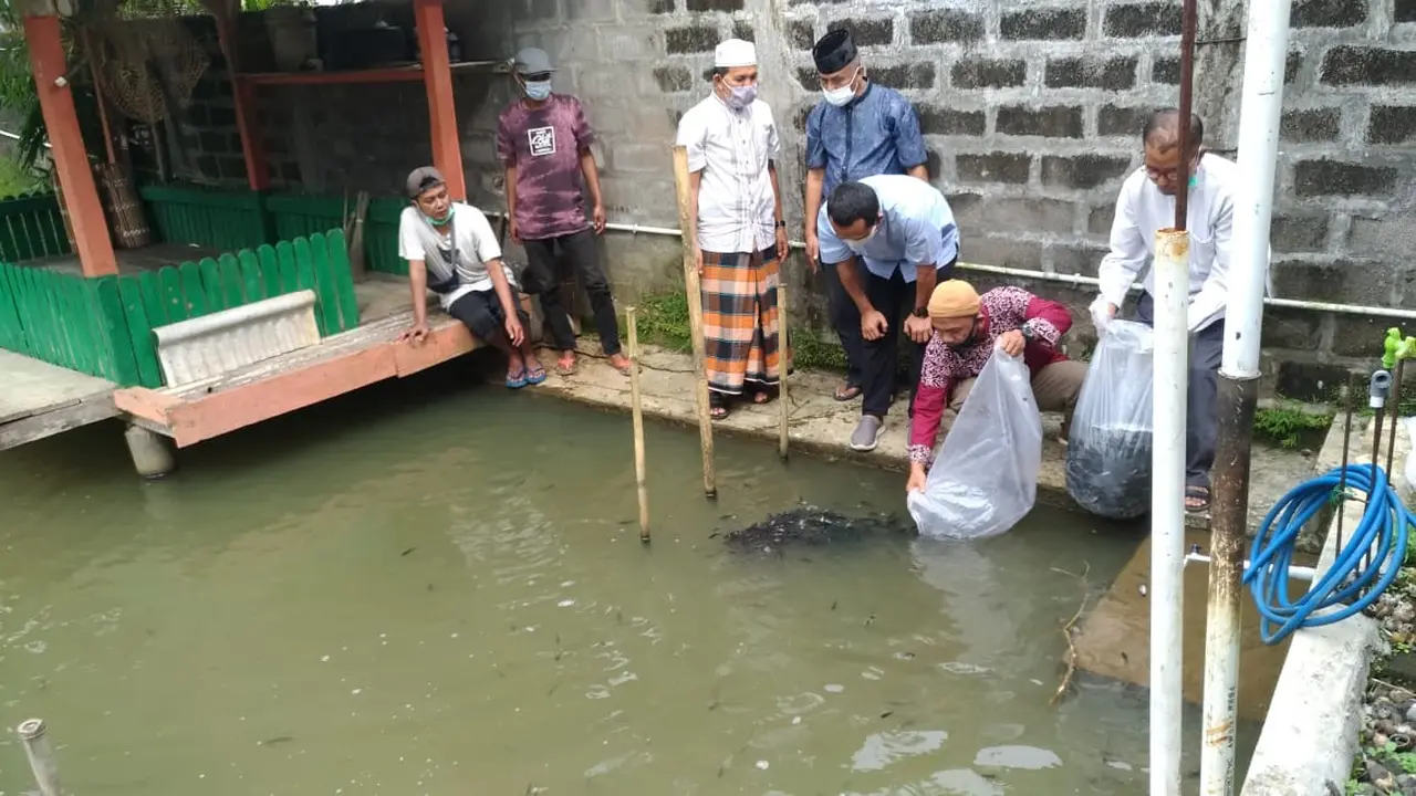 petani milenial