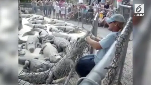 VIDEO: Ngeri, Lihat Tangan Pria ini Digigit Buaya