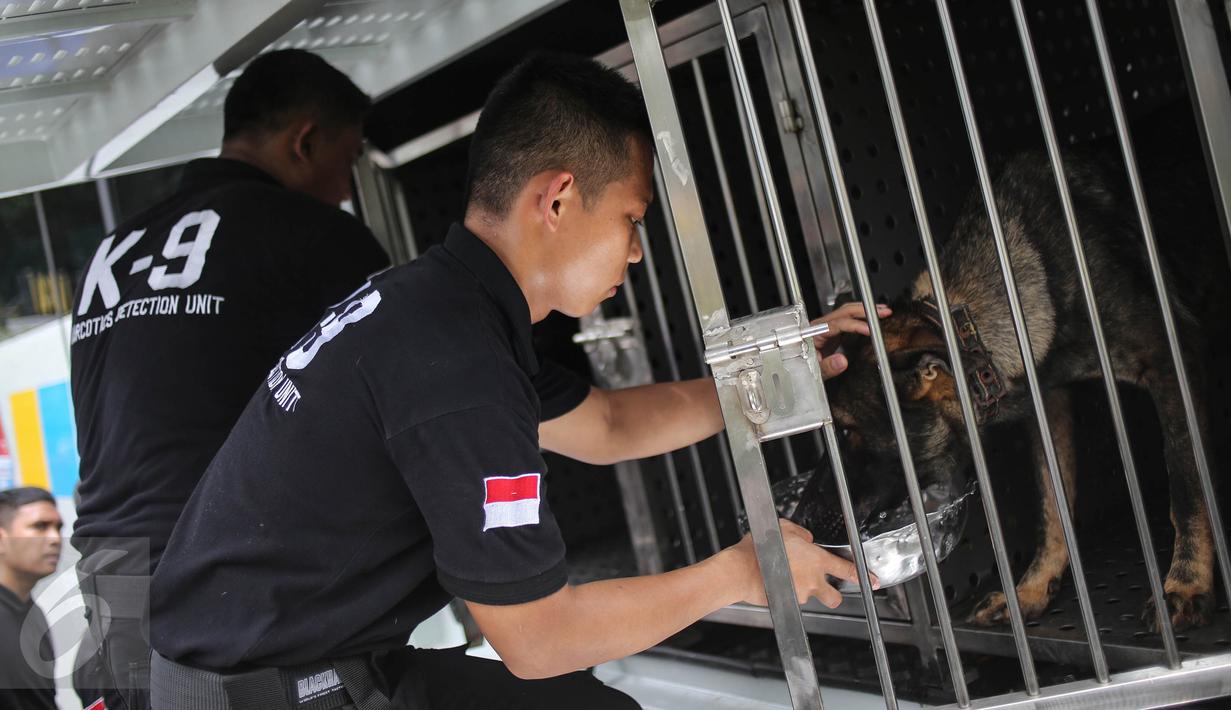 Pelatih memberi makanan ke seekor anjing unit k-9 saat mengikuti simulasi mencari barang bukti narkoba di Monumen Nasional, Jakarta, Selasa (6/12). Sejauh ini, BNN telah memiliki 50 anggota pasukan K9. (Liputan6.com/Faizal Fanani)