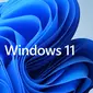 Windows 11. (Doc: Microsoft)
