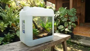 Cara Membuat Akuarium Outdoor dari Jeriken Bekas, Panduan Lengkap untuk Pemula