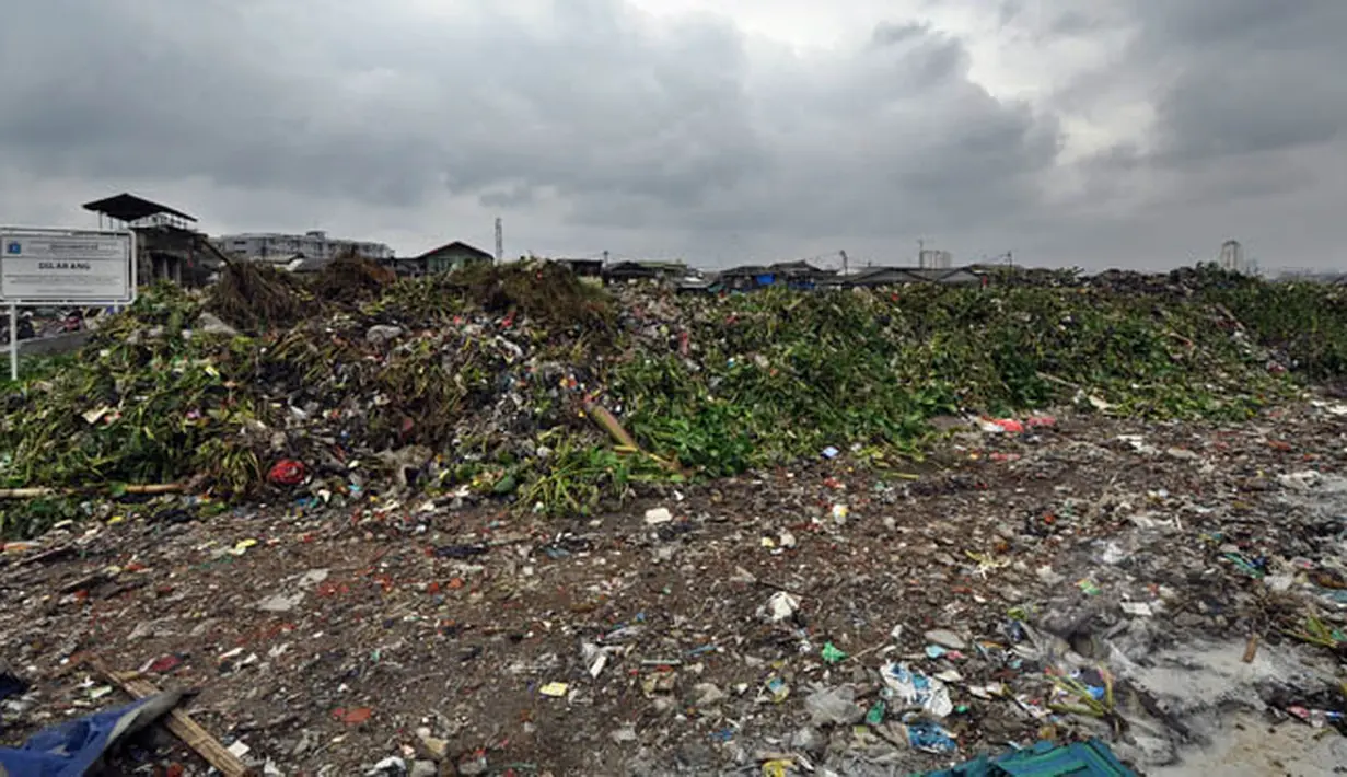 Tumpukan sampah bercampur dengan eceng gondok menggunung di Waduk Pluit, Jakarta, Jumat (13/2/2015). Sampah tersebut berasal dari warga sekitar.(Liputan6.com/Faizal Fanani)