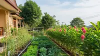 10 Ide Kebun Sayur Samping Rumah Agar Tidak Jadi Sarang Nyamuk, Anti Genangan & Harum Alami