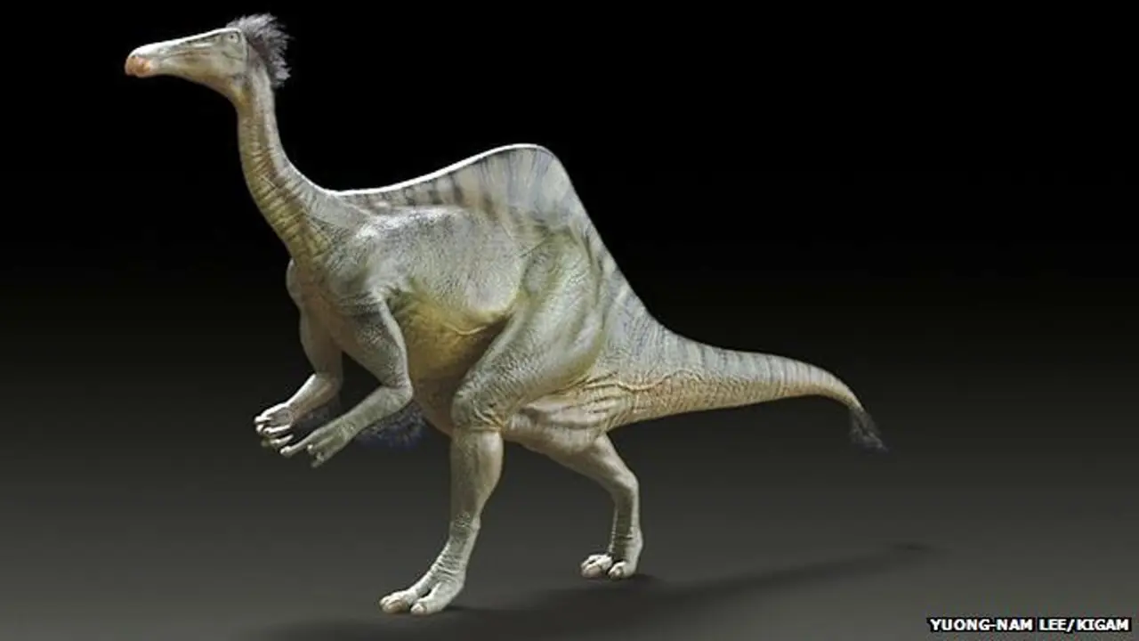 Deinocheirus mirificus, dinosaurus paling aneh?