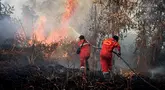 Petugas pemadam kebakaran berusaha memadamkan api yang membakar lahan gambut di Rimbo Panjang, Riau pada 20 Juli 2025. (Wahyudi/AFP)