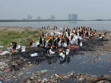 Petugas gabungan Dinas Lingkungan Hidup DKI Jakarta  membersihkan tumpukan sampah di kawasan Muara Angke, Jakarta Utara, Kamis (13/7/2023). Sebelumnya, tumpukan sampah di hutan mangrove tersebut viral di media sosial. (merdeka.com/Imam Buhori)