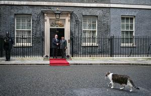 Larry the Cat (depan) berjalan melewati Perdana Menteri Inggris Keir Starmer (kedua kiri) saat menyambut Presiden Indonesia Prabowo Subianto untuk pertemuan mereka di Downing Street di pusat kota London pada 20 Januari 2026. Presiden Republik Indonesia, Prabowo Subianto melakukan pertemuan dengan Perdana Menteri (PM) Inggris, Keir Starmer, di Kantor PM Inggris, Downing Street, London, Selasa (20/01/2026). (JUSTIN TALLIS/POOL/AFP)