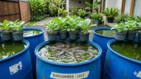 5 Ide Usaha Ternak Rumahan Modal Kecil untuk IRT di Desa, Cepat Cuan