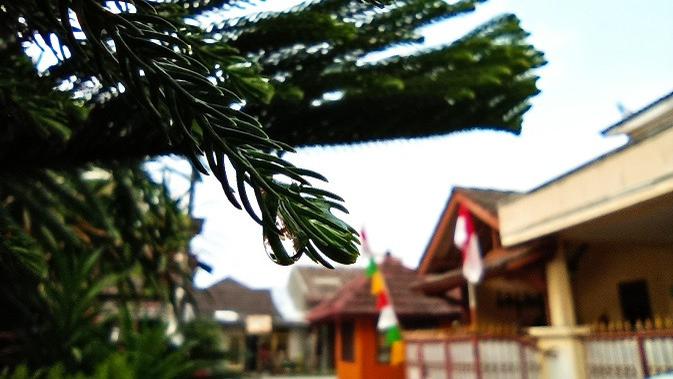 Hasil foto kamera Redmi Note 10 5G (Liputan6.com/Agustinus M. Damar)