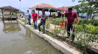 Tips BUMDes Kalipelus Lakukan Diversifikasi Usaha Desa Dari Budidaya Ikan Hingga Pengolahannya