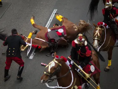 Seekor kuda yang ditunggangi anggota resimen kavaleri tradisional atau yang dikenal Husares de Junin terjatuh saat mengikuti parade militer perayaan Hari Kemerdekaan Peru di Lima, Peru (29/7). (AP Photo / Rodrigo Abd)