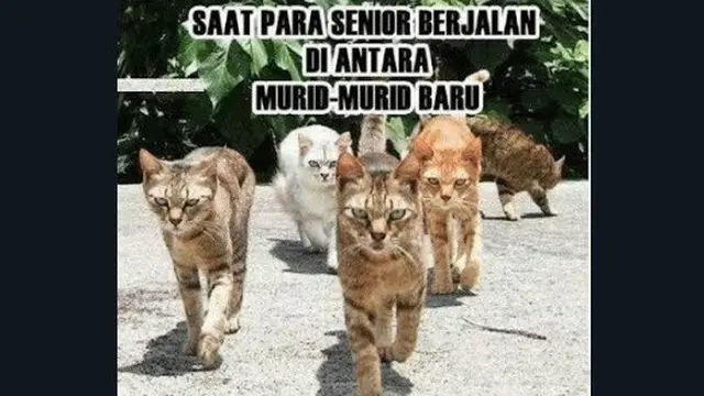 Meme hari pertama sekolah