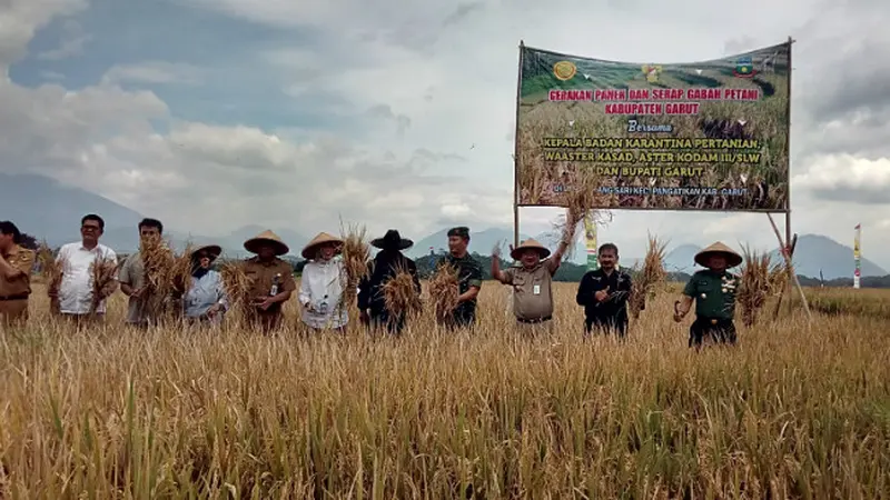 Sentra Beras Jabar Mulai Panen Raya