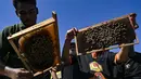 Peternak lebah memeriksa sarang lebah madu Eropa di sebuah peternakan lebah di Pekan Bada, provinsi Aceh (20/2/2022). Lokasi ini jadikan eduwisata, sambil berwisata peserta belajar membudidaya lebah.  (AFP/Chaideer Mahyuddin)