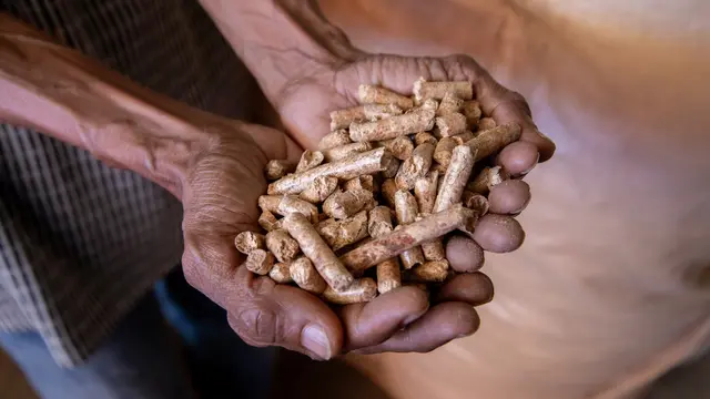 10 Ribu Ton Wood Pellet Gorontalo Tembus Pasar Jepang dan Korea Selatan