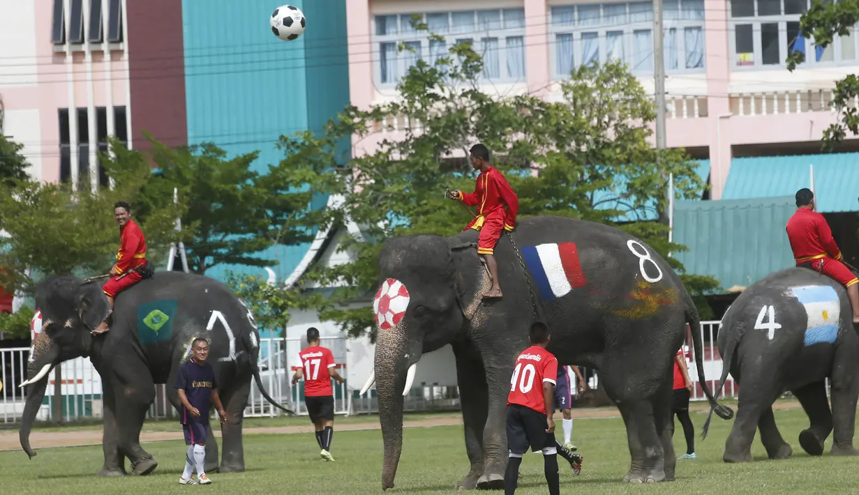 Sejumlah gajah bermain sepak bola dengan badan dilukis bendera peserta Piala Dunia 2018 di Ayutthaya, Selasa (12/6/2018). Kegiatan yang dilakukan Sekolah Ayutthaya Wittayalai ini dilakukan untuk memeriahkan Piala Dunia. (AP/Sakchai Lalit)
