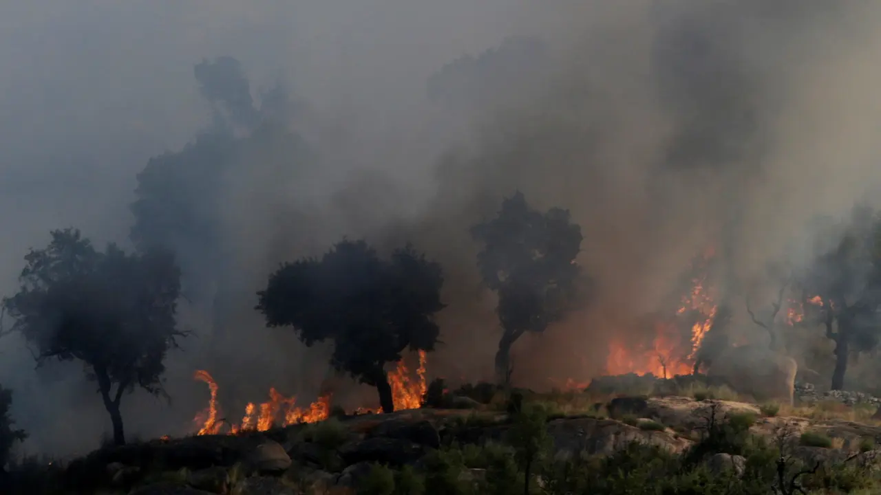  20160908- Kebakaran Hutan Landa Portugal-Reuters