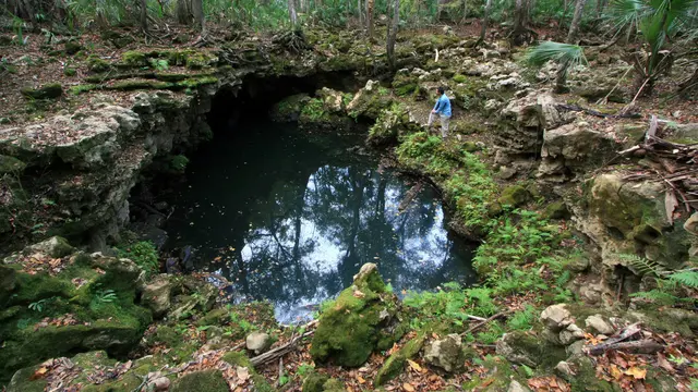 Lubang Dalam di Sungai Aucilla