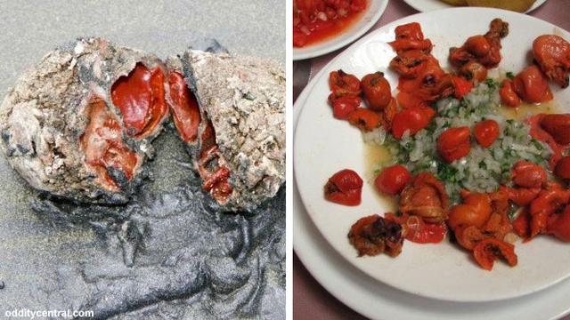 Video Unik Batu Karang Pantai Hidup Dan Bisa Dimakan Global Liputan6 Com