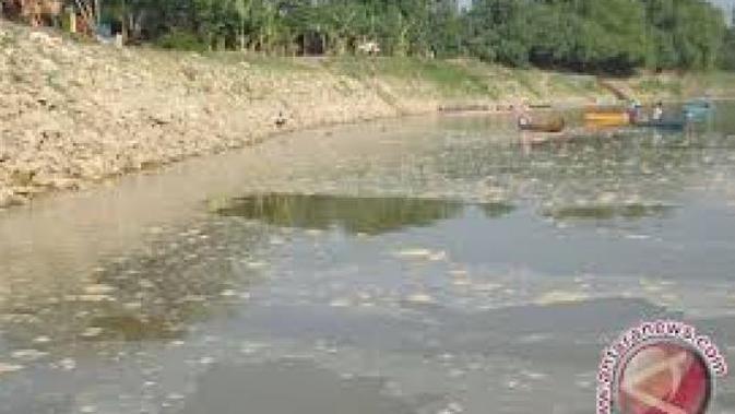 2 Perusahaan Besar Kepergok Buang Limbah di Sungai  