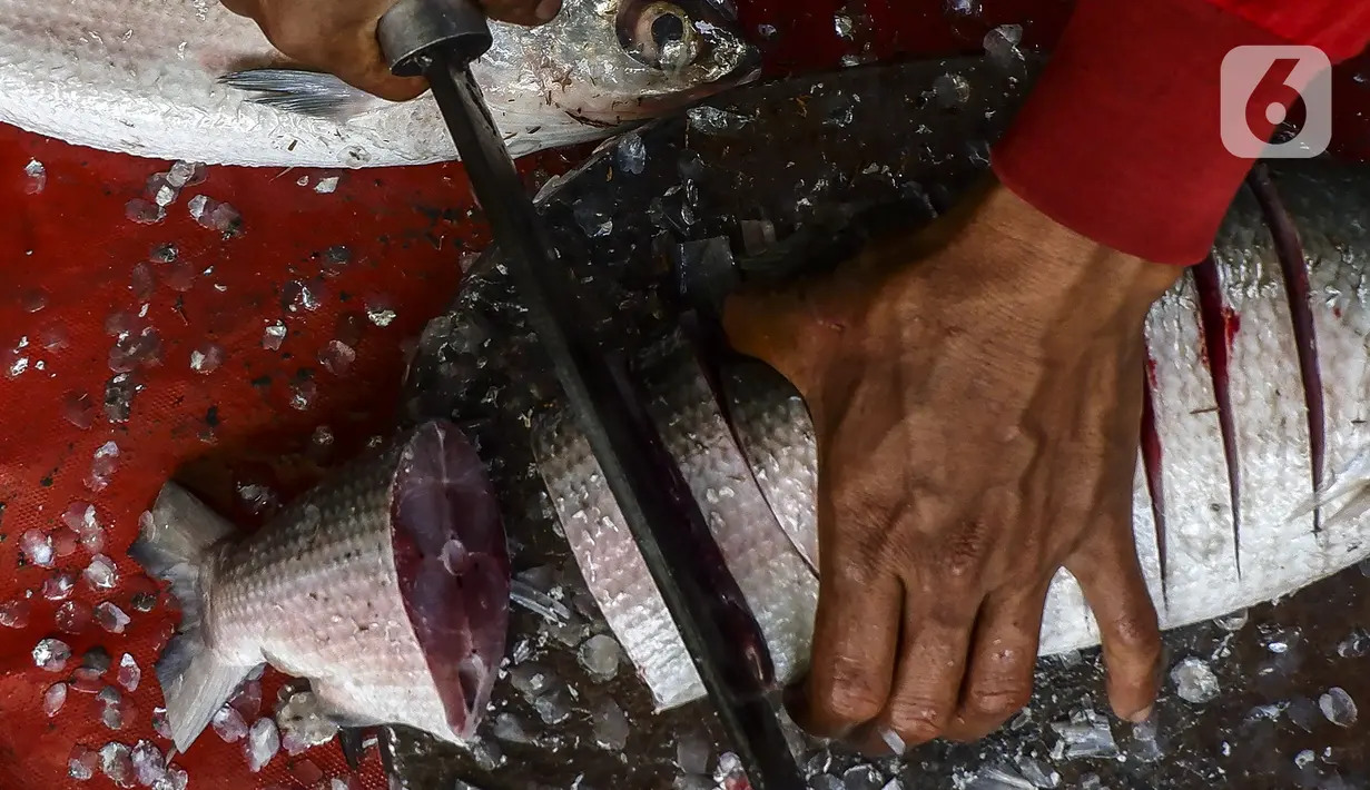 Pedagang memotong ikan bandeng saat melayani pembeli di kawasan Rawa Belong, Jakarta Barat, Rabu (10/2/2021). Ikan bandeng dipatok dengan harga sekitar Rp 75.000 per kilogram dari yang terkecil hingga terbesar. (Liputan6.com/Johan Tallo)