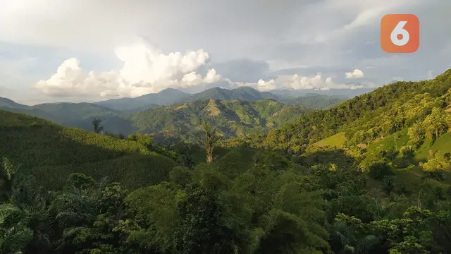 Puncak Dulamayo