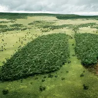 Video ini memperlihatkan tanah yang bergerak seperti tubuh manusia yang sedang bernafas.
