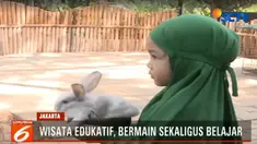Jika anda penasaran melihat hewan-hewan pintar ini beraksi setiap harinya, pengunjung juga dihibur dengan Animal Show.