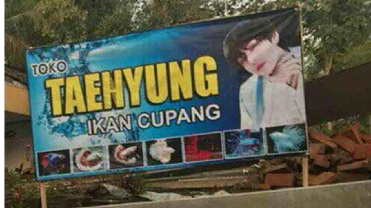 6 Cara Kreatif Jualan Ikan Cupang Ini Bikin Pembeli Kaget