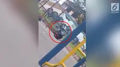 Pasangan SMU yang sedang memadu kasih di atas ayunan jatuh tersungkur.